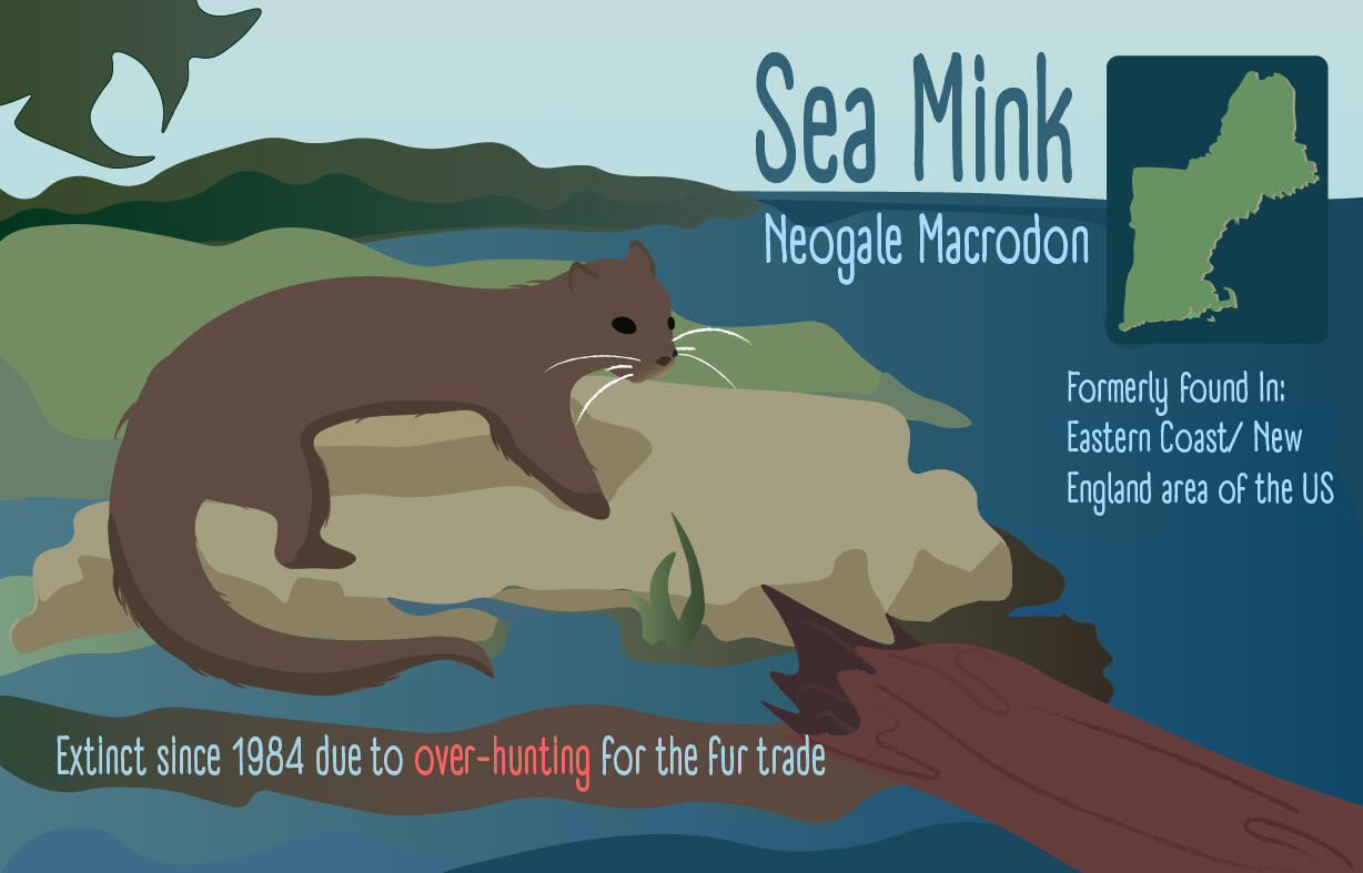 Awareness flyer for an extinct mammal.